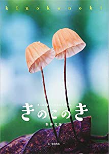 きのこのき　きになるきのこのきほんのほん(中古品)