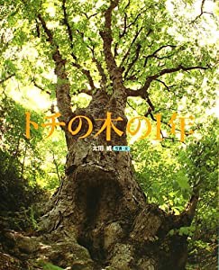 トチの木の1年 (ランドセルブックス)(中古品)