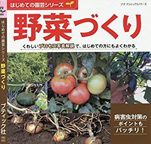 はじめての園芸シリーズ 野菜づくり (プチブティックシリーズno.633)(中古品)