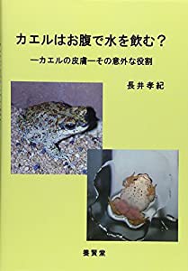 カエルはお腹で水を飲む?―カエルの皮膚‐その意外な役割(中古品)