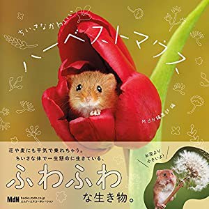 ちいさなかわいいハーベストマウス(中古品)