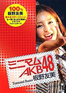 ミニマム AKB48 板野友美(中古品)