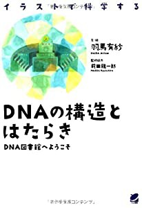 DNAの構造とはたらき ―DNA図書館へようこそ(中古品)