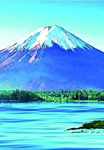 開運御朱印帳 富士山 ([バラエティ])(中古品)