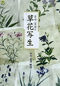 岩崎灌園の草花写生(中古品)