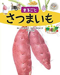 まるごとさつまいも (絵図解やさい応援団)(中古品)