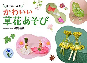 作ってびっくり! かわいい草花あそび(中古品)