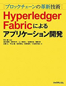 ~ブロックチェーンの革新技術~Hyperledger Fabricによるアプリケーション開発(中古品)