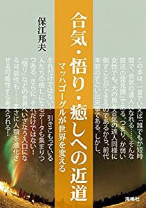 合気・悟り・癒しへの近道: マッハゴーグルが世界を変える(中古品)