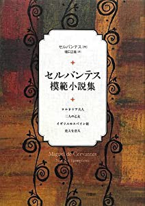 セルバンテス模範小説集(中古品)