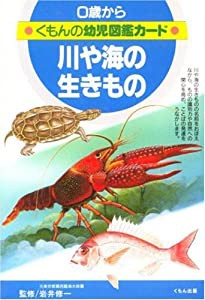 川や海の生きもの (くもんの幼児図鑑カード)(中古品)