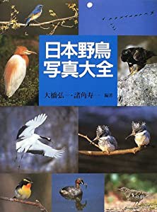 日本野鳥写真大全(中古品)