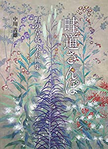 畦道さんぽ 野の草花 水彩画集(中古品)