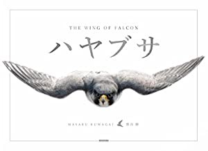 ハヤブサ THE WING OF FALCON(中古品)