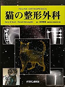 猫の整形外科(中古品)