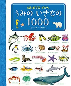 はじめてのずかん うみのいきもの1000(中古品)