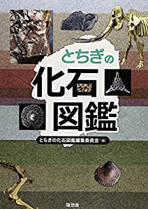とちぎの化石図鑑(中古品)