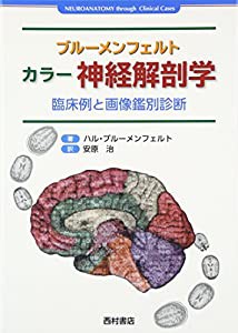 ブルーメンフェルト カラー神経解剖学―臨床例と画像鑑別診断(中古品)