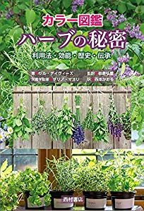 カラー図鑑 ハーブの秘密: 利用法・効能・歴史・伝承(中古品)