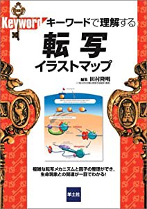 キーワードで理解する転写イラストマップ(中古品)