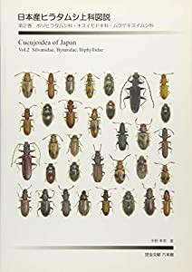 日本産ヒラタムシ上科図説 第2巻 ホソヒラタムシ科・キスイモドキ科・ムクゲキスイムシ科(中古品)