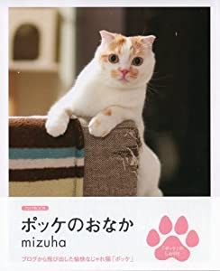 ポッケのおなか (ブログbook)(中古品)