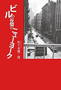 ビルの谷間のニューヨーク(中古品)