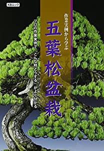 作業実例から学ぶ五葉松盆栽―プロの作業実例で「こんな時どうする」がよく分かる (KBムック)(中古品)