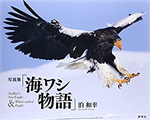 写真集「海ワシ物語」(中古品)