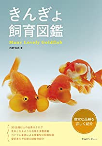 きんぎょ飼育図鑑 (アクアライフの本)(中古品)