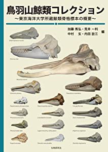 鳥羽山鯨類コレクション?東京海洋大学所蔵鯨類骨格標本の概要?(中古品)