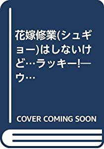 花嫁修業はしないけど…ラッキー―ウエディング・アドバイザーからお嬢様とお母様に(中古品)