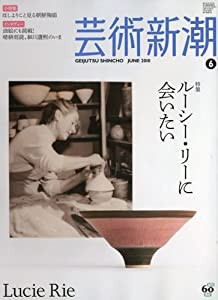 芸術新潮 2010年 06月号 [雑誌](中古品)