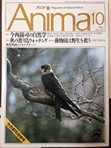 アニマ　1992・10月号　「今西錦司の自然学」「秋の渡り鳥ウオッチング」」「然別湖のナキウサギ」(中古品)