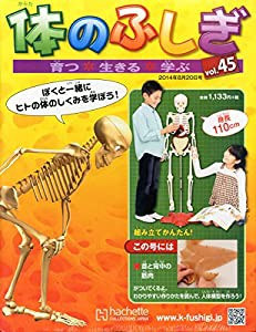 体のふしぎ 2014年 8/20号 [分冊百科](中古品)