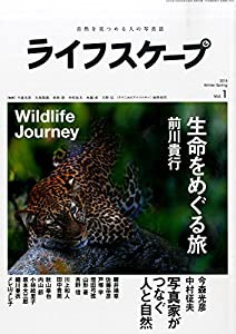 ライフスケープ (風景写真1月号臨時増刊)(中古品)