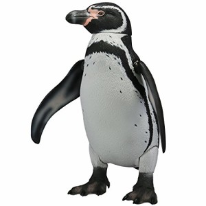 ソフビトイボックス011 ペンギン フンボルトペンギン ノンスケールソフトビ（中古品）