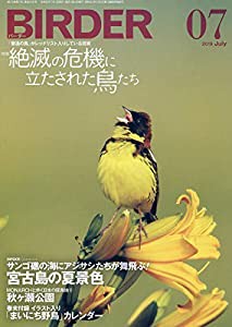 BIRDER(バーダー)2019年7月号 絶滅の危機に立たされた鳥たち【巻末付録 イラスト入り「まいにち野鳥」カレンダー 2019 下半期(7?