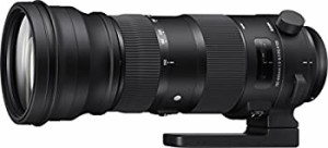 SIGMA 超望遠ズームレンズ Sports 150-600mm F5-6.3 DG OS HSM キヤノン用 フルサイズ対応 740542（中古品）