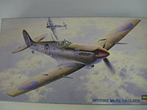 ハセガワ 1/48 スピットファイア Mk.Vb I.R.グリード #JT6（中古品）