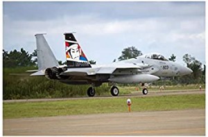 プラッツ 1/72 航空自衛隊 F-15Jイーグル 第306飛行隊 2018 小松基地航空祭 記念塗装機 勧進帳 プラモデル AC-29（中古品）