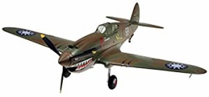 童友社 1/72 彩シリーズ No.7 アメリカ軍 P-40B ウォーホーク 塗装済みプラモデル（中古品）