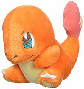 ポケモンセンターオリジナル ぬいぐるみポケモンキャンバス ヒトカゲ（中古品）