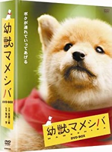 幼獣マメシバ DVD-BOX（中古品）