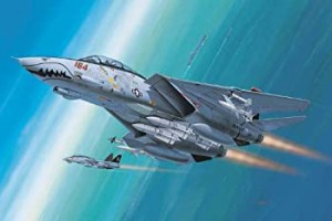 ドイツレベル 1/144 F-14D スーパートムキャット 04049 プラモデル（中古品）