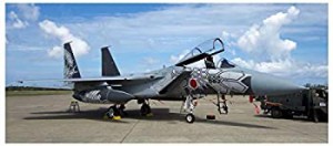 プラッツ 1/72 航空自衛隊 F-15Jイーグル 第303飛行隊 2018 小松基地航空祭 記念塗装機 ファイティング・ドラゴン プラモデル AC-28（中