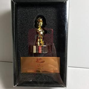 スーパーマリオ ゴールドマリオ クラブニンテンドー景品 プラチナ会員 