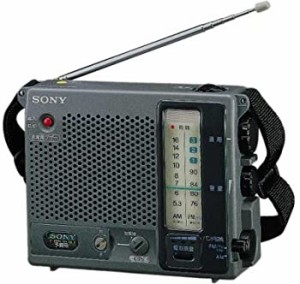 ソニー FM/AMラジオ ICF-B100 【SONY】（中古品）