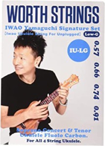 Worth Strings IU-LG ウクレレ弦 IWAO Unplugged-Low-G 68インチ フロロカーボン クリア（中古品）
