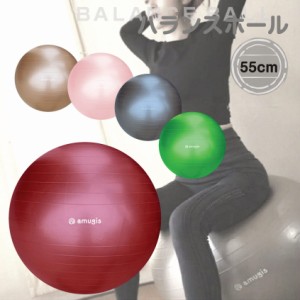 バランスボール ヨガボール /55cm アンチバースト 耐荷重500KG 体幹トレーニング 椅子 腰痛予防 腹筋 ダイエット 子供 女性 男性 フィッ